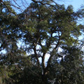 Il parco esterno al Forte